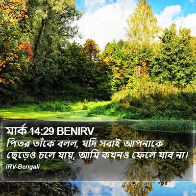 মার্ক 14:29 BENIRV Bible Verse Image