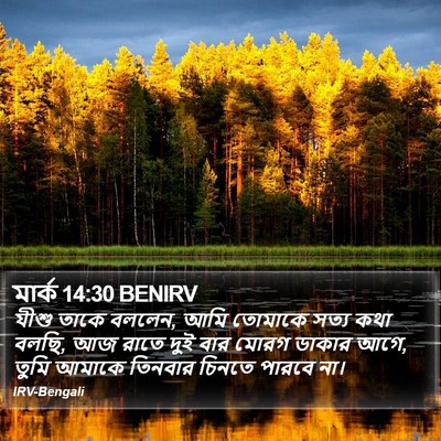 মার্ক 14:30 BENIRV Bible Verse Image