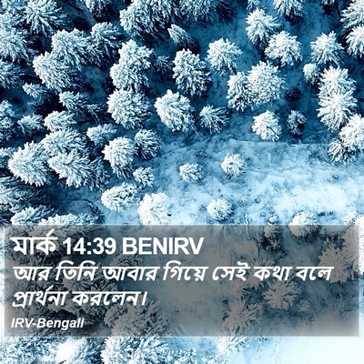 মার্ক 14:39 BENIRV Bible Verse Image