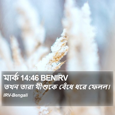 মার্ক 14:46 BENIRV Bible Verse Image