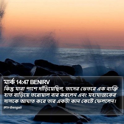 মার্ক 14:47 BENIRV Bible Verse Image