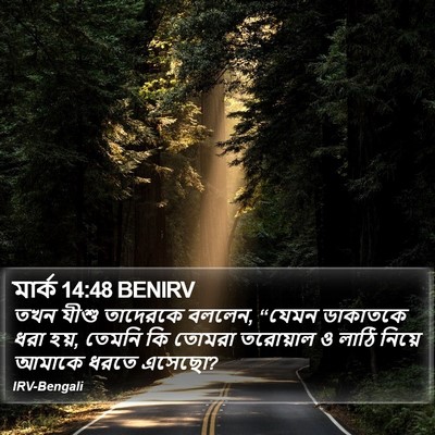 মার্ক 14:48 BENIRV Bible Verse Image