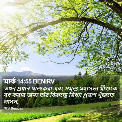 মার্ক 14:55 BENIRV Bible Verse Image
