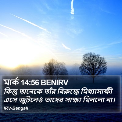 মার্ক 14:56 BENIRV Bible Verse Image