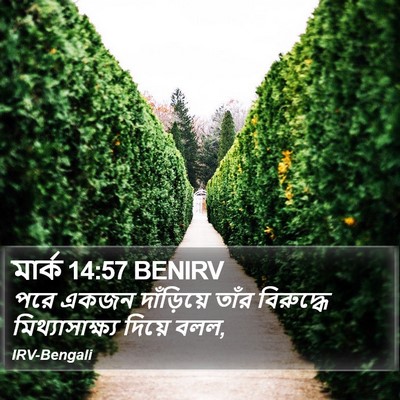 মার্ক 14:57 BENIRV Bible Verse Image