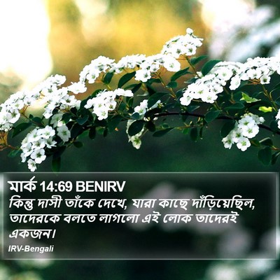 মার্ক 14:69 BENIRV Bible Verse Image
