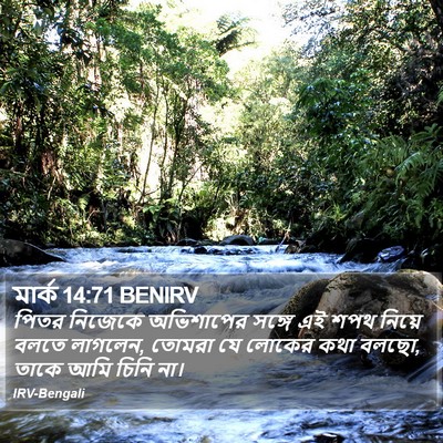 মার্ক 14:71 BENIRV Bible Verse Image