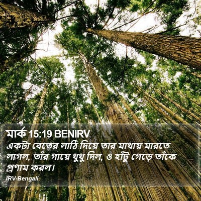 মার্ক 15:19 BENIRV Bible Verse Image