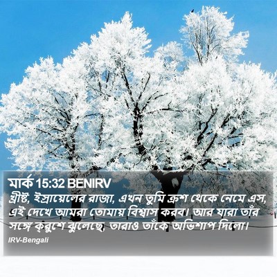 মার্ক 15:32 BENIRV Bible Verse Image