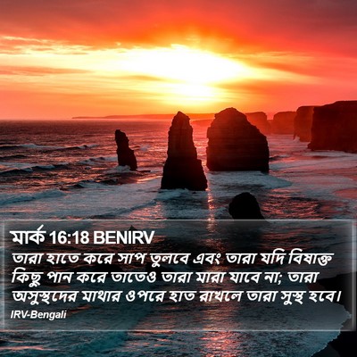 মার্ক 16:18 BENIRV Bible Verse Image