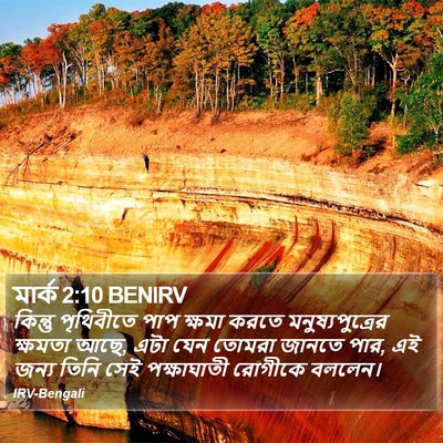 মার্ক 2:10 BENIRV Bible Verse Image