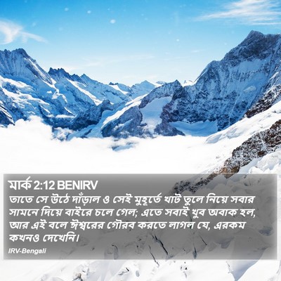 মার্ক 2:12 BENIRV Bible Verse Image