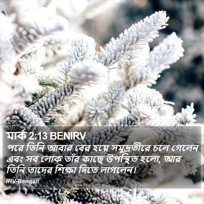 মার্ক 2:13 BENIRV Bible Verse Image
