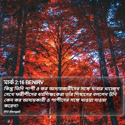 মার্ক 2:16 BENIRV Bible Verse Image