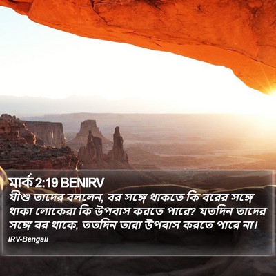 মার্ক 2:19 BENIRV Bible Verse Image