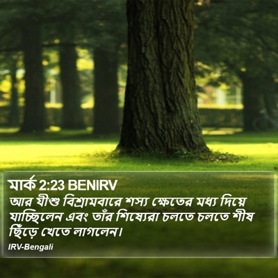 মার্ক 2:23 BENIRV Bible Verse Image
