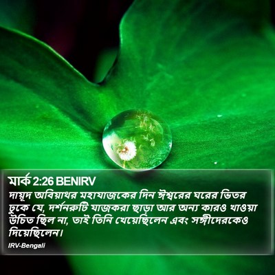 মার্ক 2:26 BENIRV Bible Verse Image