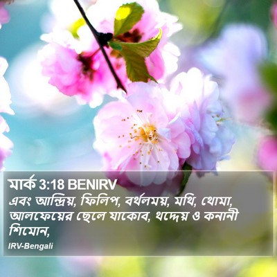 মার্ক 3:18 BENIRV Bible Verse Image