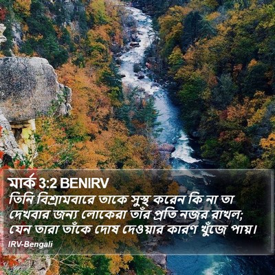 মার্ক 3:2 BENIRV Bible Verse Image