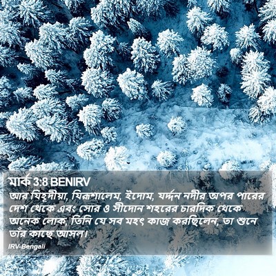 মার্ক 3:8 BENIRV Bible Verse Image