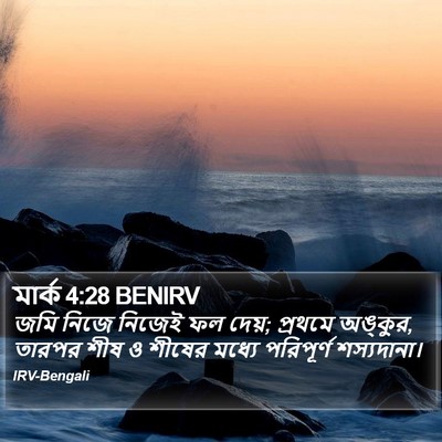 মার্ক 4:28 BENIRV Bible Verse Image