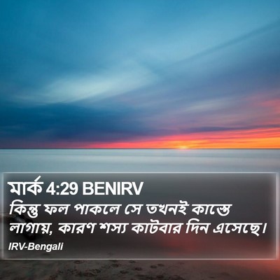 মার্ক 4:29 BENIRV Bible Verse Image