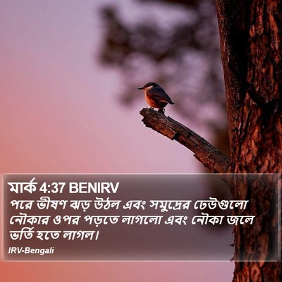 মার্ক 4:37 BENIRV Bible Verse Image