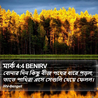 মার্ক 4:4 BENIRV Bible Verse Image