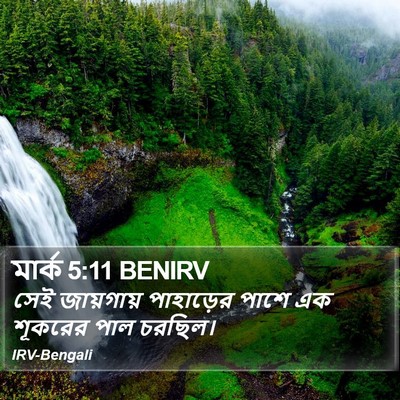 মার্ক 5:11 BENIRV Bible Verse Image