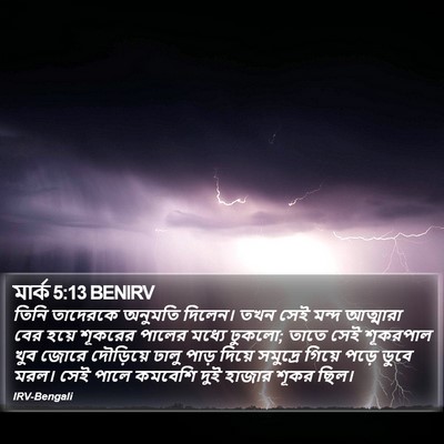 মার্ক 5:13 BENIRV Bible Verse Image