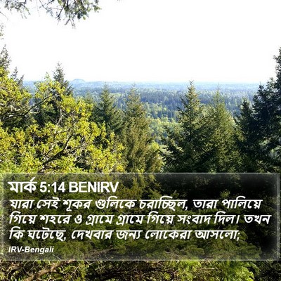 মার্ক 5:14 BENIRV Bible Verse Image