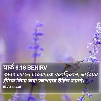মার্ক 6:18 BENIRV Bible Verse Image