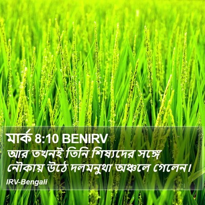 মার্ক 8:10 BENIRV Bible Verse Image