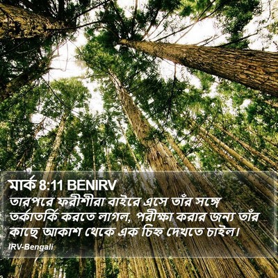 মার্ক 8:11 BENIRV Bible Verse Image