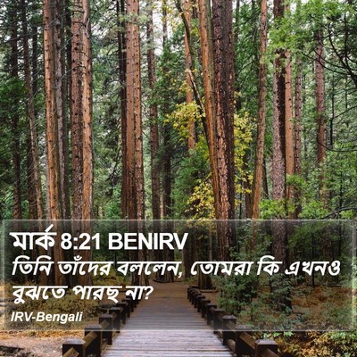 মার্ক 8:21 BENIRV Bible Verse Image