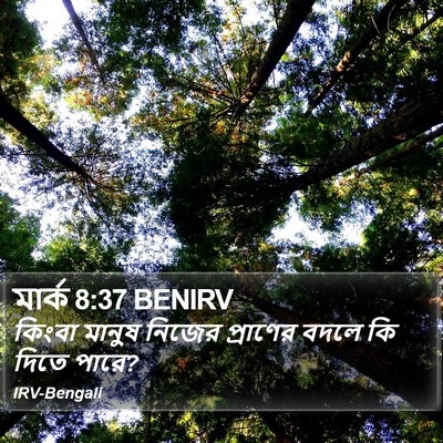 মার্ক 8:37 BENIRV Bible Verse Image