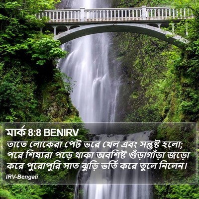 মার্ক 8:8 BENIRV Bible Verse Image