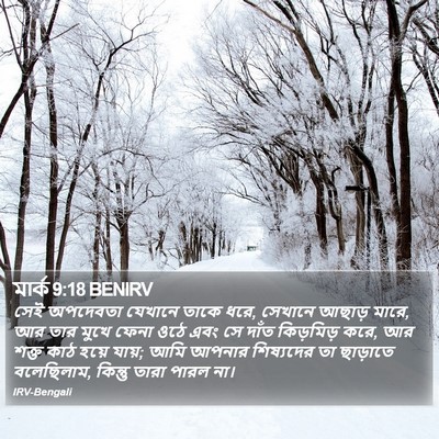 মার্ক 9:18 BENIRV Bible Verse Image