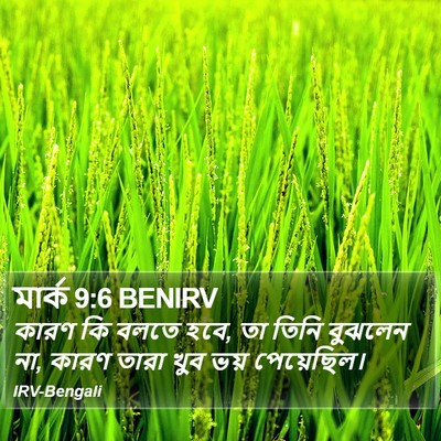মার্ক 9:6 BENIRV Bible Verse Image