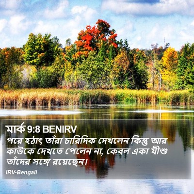 মার্ক 9:8 BENIRV Bible Verse Image