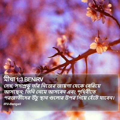 মীখা 1:3 BENIRV Bible Verse Image