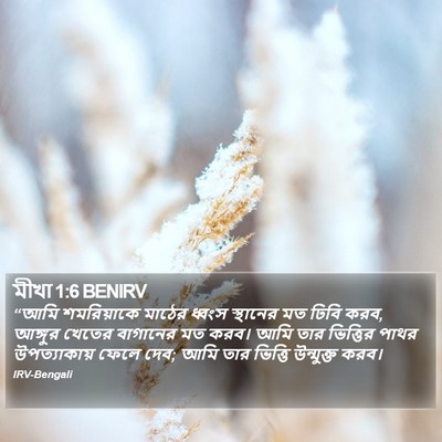 মীখা 1:6 BENIRV Bible Verse Image