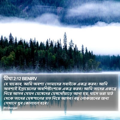 মীখা 2:12 BENIRV Bible Verse Image