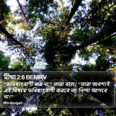 মীখা 2:6 BENIRV Bible Verse Image