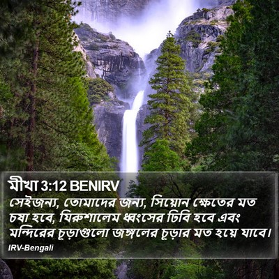 মীখা 3:12 BENIRV Bible Verse Image