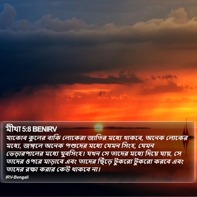 মীখা 5:8 BENIRV Bible Verse Image