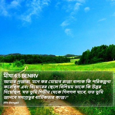 মীখা 6:5 BENIRV Bible Verse Image