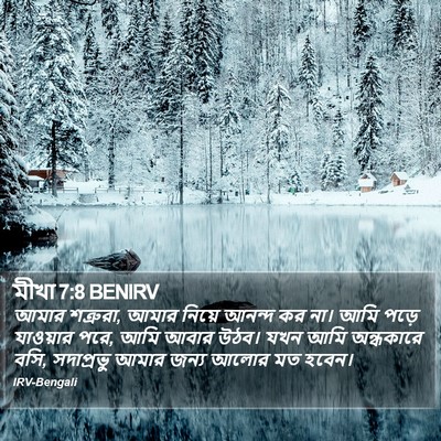 মীখা 7:8 BENIRV Bible Verse Image