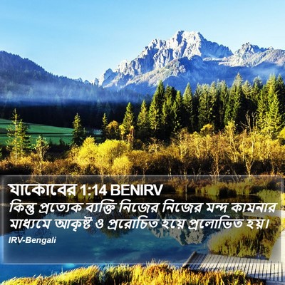 যাকোবের 1:14 BENIRV Bible Verse Image