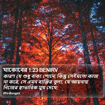 যাকোবের 1:23 BENIRV Bible Verse Image